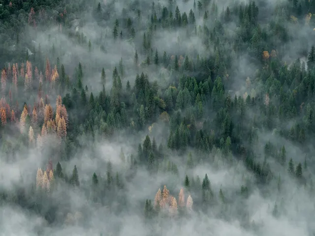 We were looking to capture a foggy sunrise view of Half-Dome in Yosemite, but the weather wasn’t cooperating with us. Th jigsaw puzzle