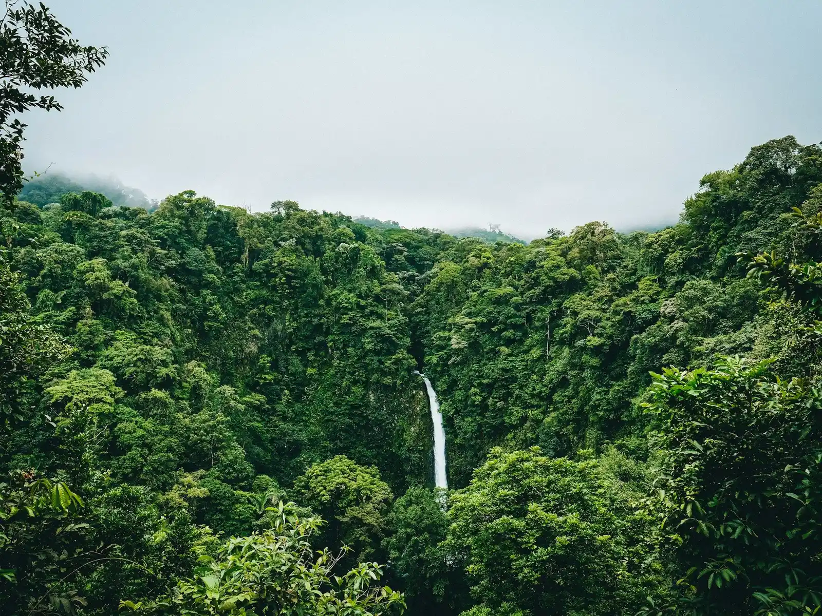 Waterfall in Costa Rica jigsaw puzzle
