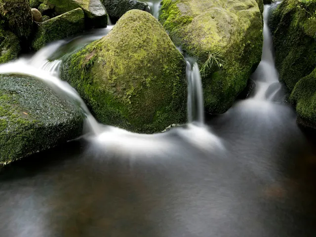 Moss boulders and water streams jigsaw puzzle