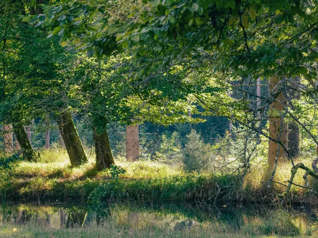 A herd of sheep grazing on a lush green field jigsaw puzzle