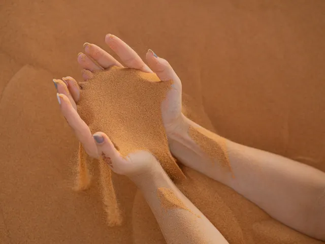 persons feet on brown sand jigsaw puzzle