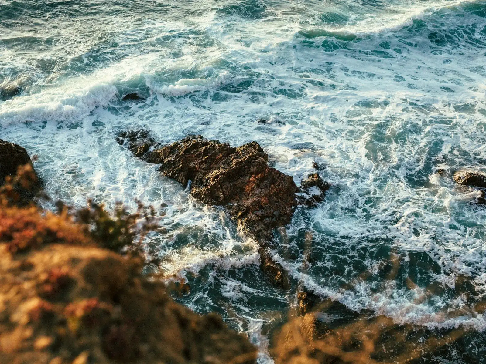 aerial photography of seashore jigsaw puzzle
