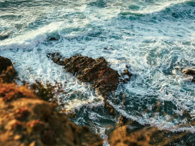 aerial photography of seashore jigsaw puzzle