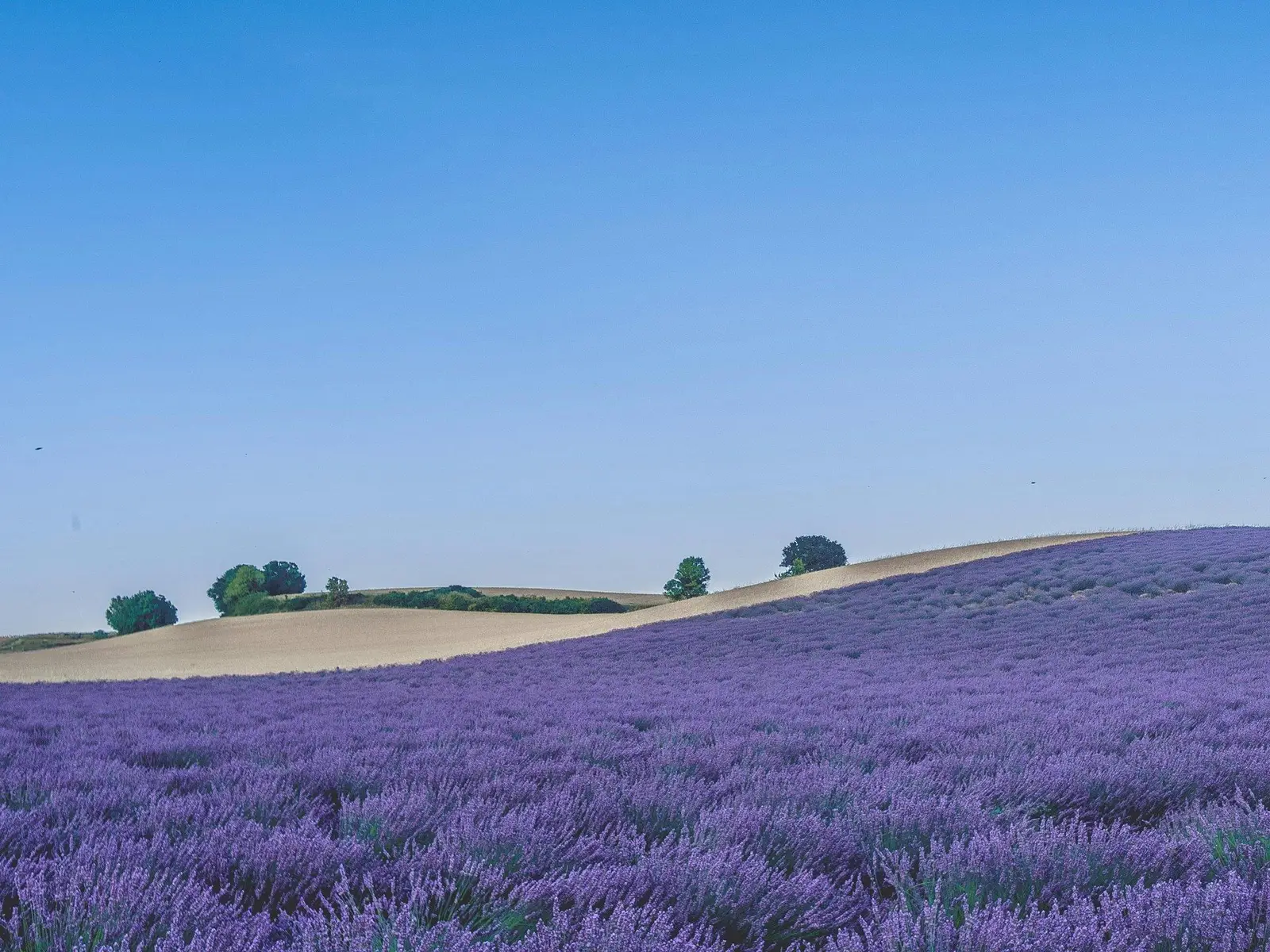 Provence Scenery jigsaw puzzle