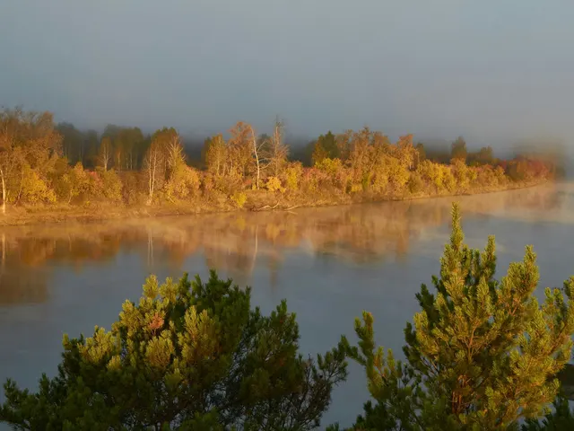 Foggy morning on the river jigsaw puzzle