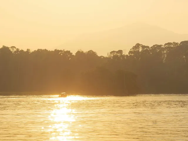 Boat on golden water with trees and mountains at sunset jigsaw puzzle