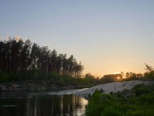 Sunset over a tranquil river with pine trees jigsaw puzzle
