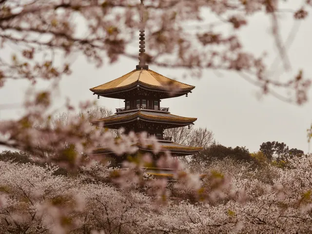 brown and white pagoda temple surrounded by trees during daytime jigsaw puzzle
