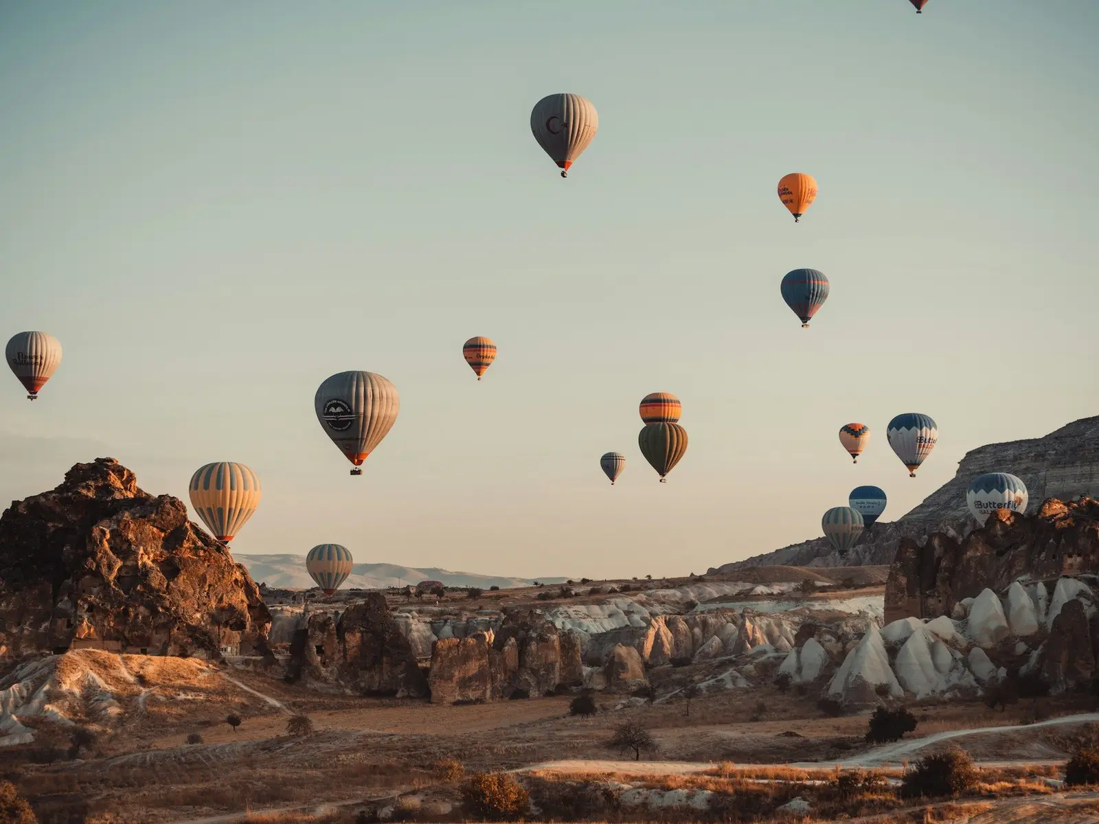 hot air balloons in the sky during daytime jigsaw puzzle