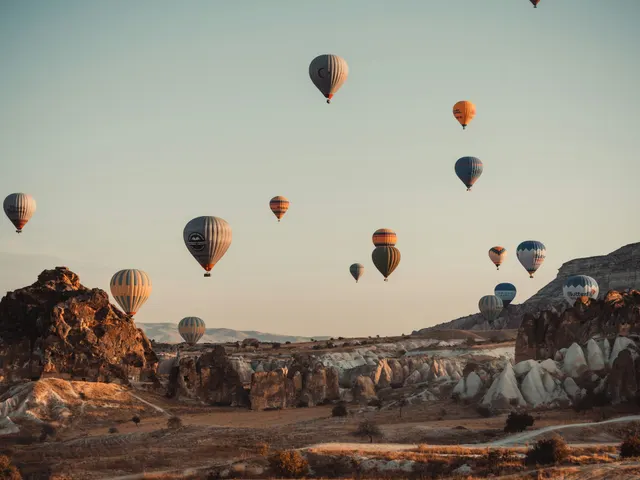 hot air balloons in the sky during daytime jigsaw puzzle