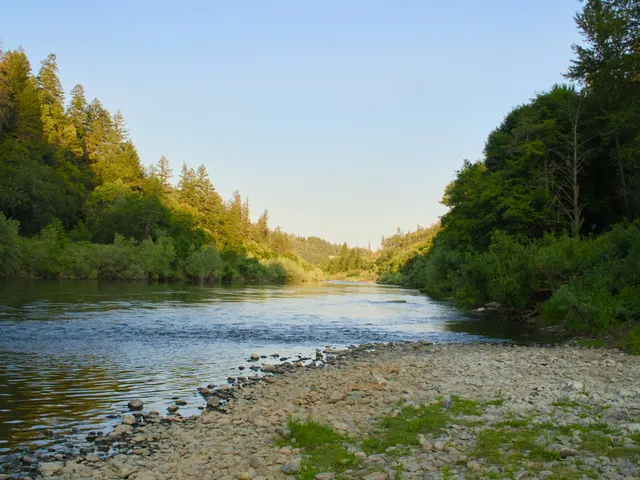 River flowing between lush green trees jigsaw puzzle