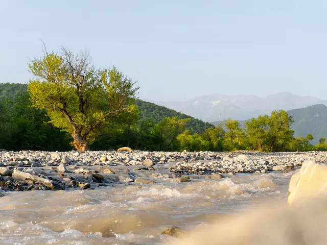 A rocky river flows past green trees and distant mountains jigsaw puzzle