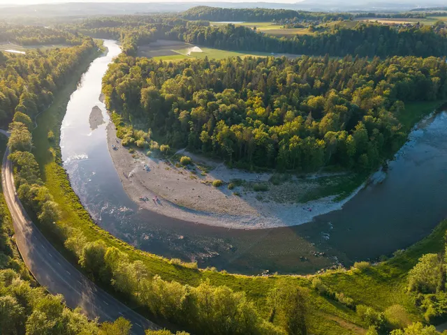 Scenic river bends through a vibrant green forest jigsaw puzzle