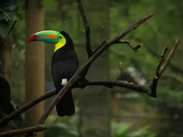 If you like, please follow me jigsaw puzzle