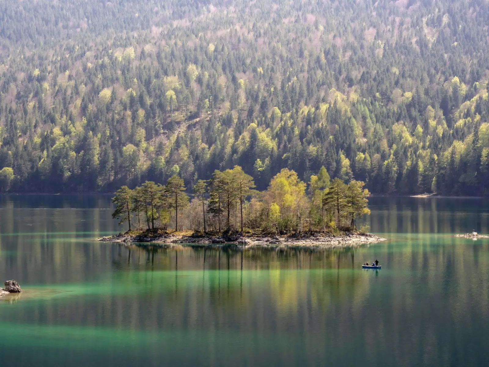 body of water surrounded with trees at daytime jigsaw puzzle