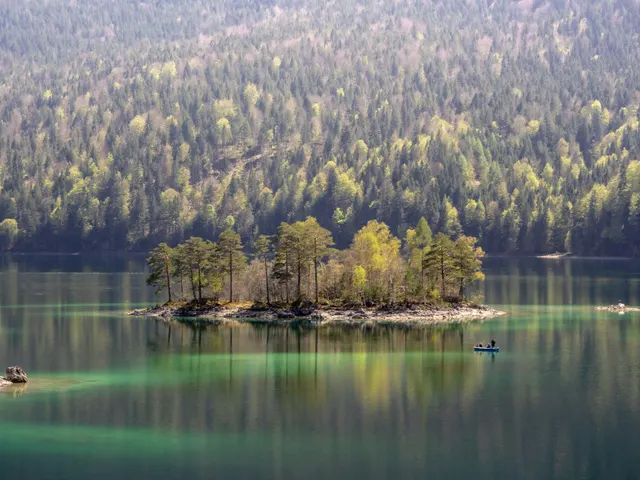 body of water surrounded with trees at daytime jigsaw puzzle