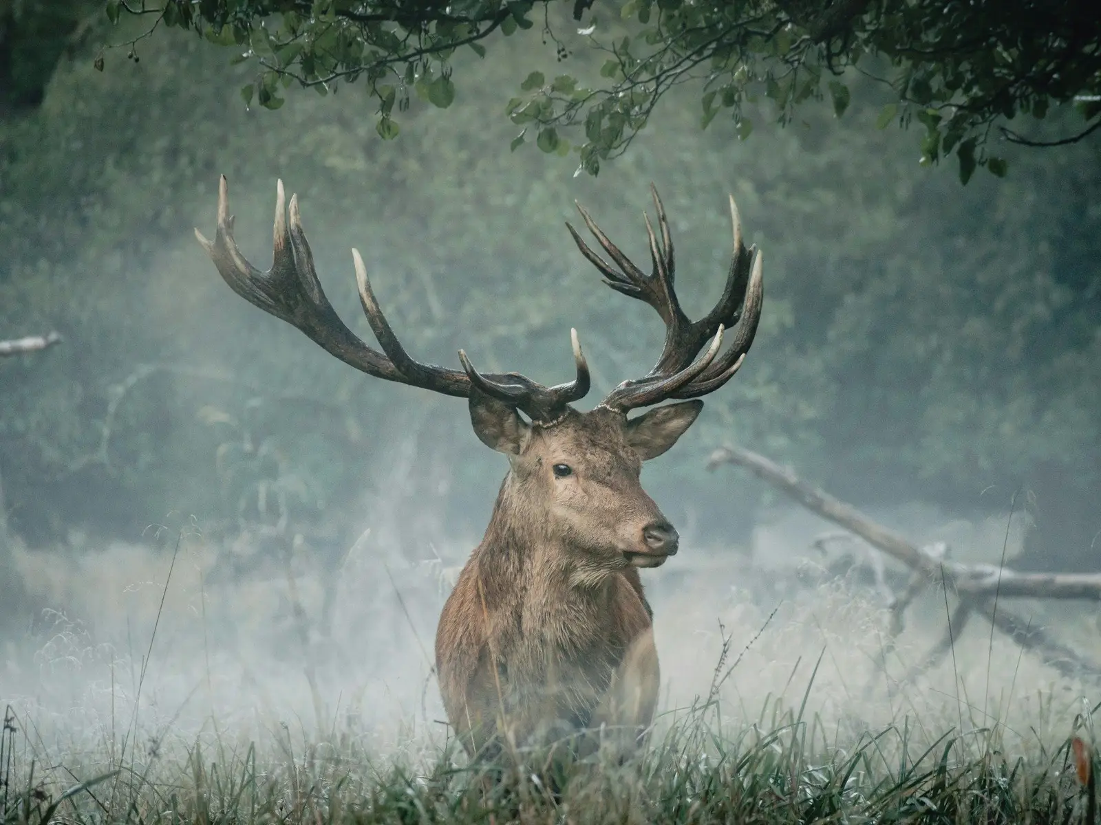 The buck stops here jigsaw puzzle