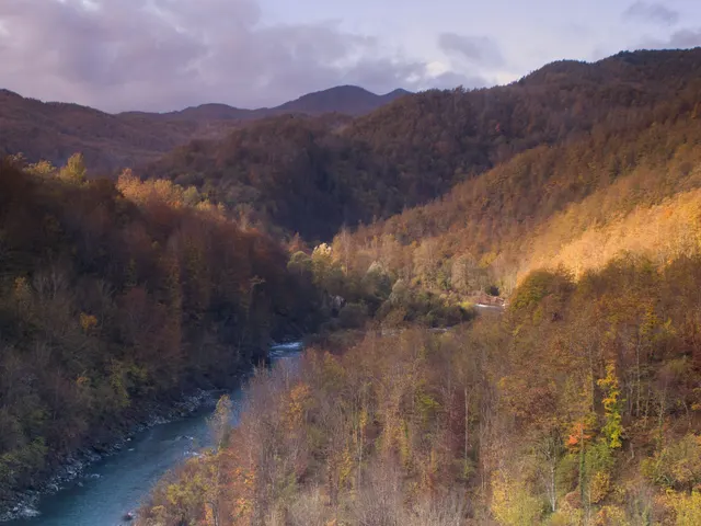 Mountain valley with a river during autumn jigsaw puzzle