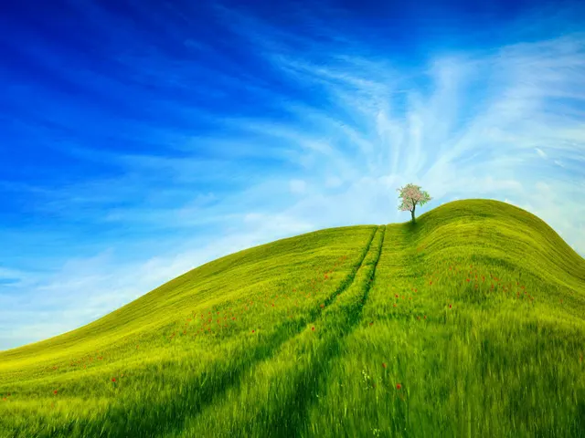 green grass field under blue sky during daytime jigsaw puzzle