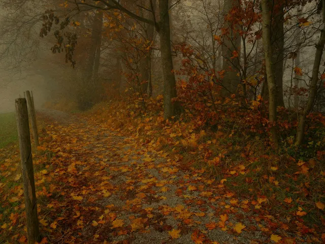 Autumn 0987 jigsaw puzzle