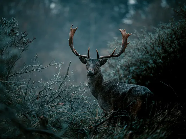 gray deer on green grass during daytime jigsaw puzzle