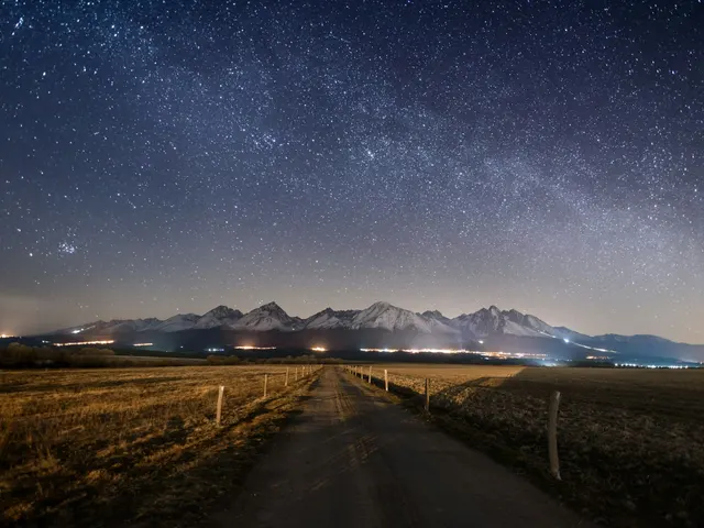 pathway between plant field jigsaw puzzle