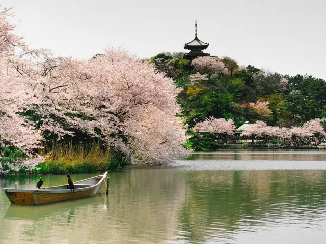row boat on body of water jigsaw puzzle