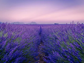 A wonderful night in Provence jigsaw puzzle