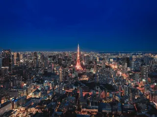 Tokyo Tower from city view jigsaw puzzle